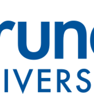 Brunel University of London logo