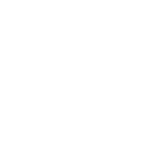 University of Maine logo