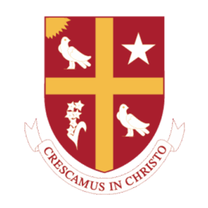 University of St. Thomas – Texas logo