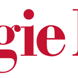 Carnegie Mellon University – Heinz College of Information Systems and Public Policy logo