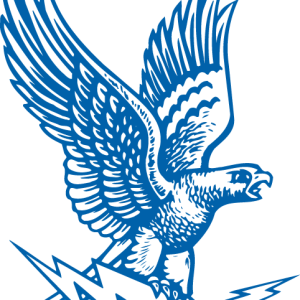 United States Air Force Academy logo