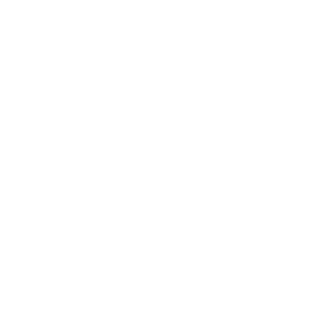 Dakota State University logo