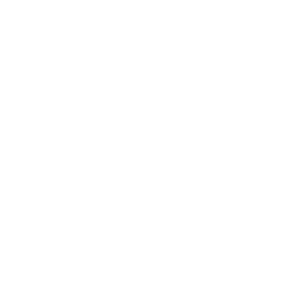 Southern Illinois University, Carbondale logo