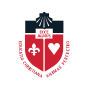 St. John’s University logo