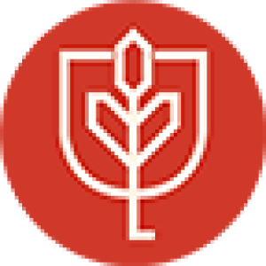 Hult International Business School logo