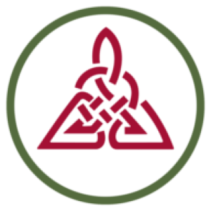 ASCENSUS INSTITUTE logo