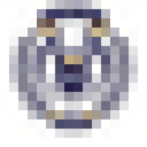 People’s University logo