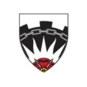The University of Salford logo