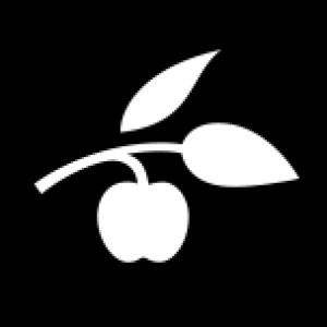 Syddansk Universitet – University of Southern Denmark logo