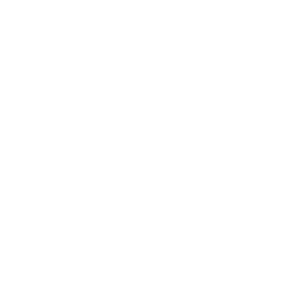 Beijing Foreign Studies University logo