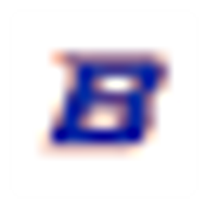 BOISE STATE UNIVERSITY FOUNDATION INC logo