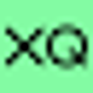 XQ Institute logo