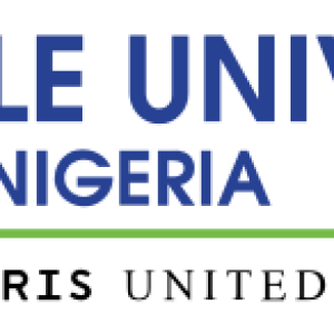 Nile University of Nigeria logo