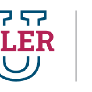 Schiller International University logo
